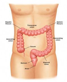 Anal and rectal surgeons los angeles recommend Thanks for anal and rectal surgeons los angeles