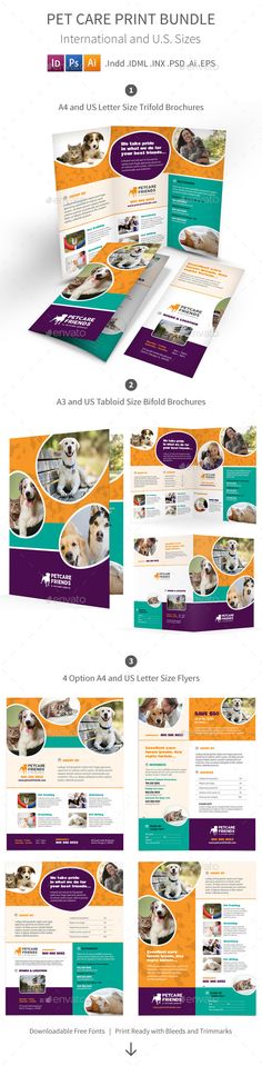 veterinary brochures templates Veterinarian Clinic Animal - diabetes brochure template veterinary brochures templates Veterinarian Clinic Animal - diabetes brochure template