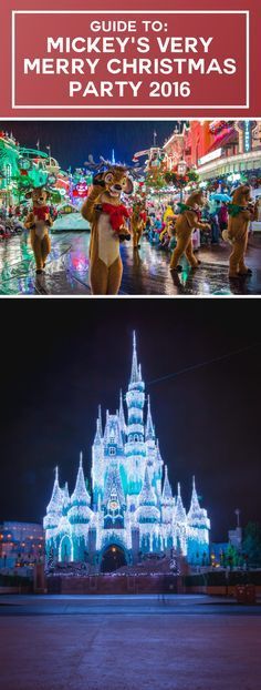16 Best Animal Kingdom Images In 2017 Disney Vacations Guide To Mickey S Very Merry Christmas Party 2017