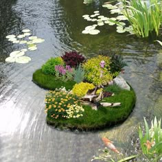 flower gardens pictures pink floating flower gardens 1746 best garden pictures images in 2018 flowers vegetable flower gardens pictures pink floating flower gardens 1746 best garden pictures images in 2018 flowers vegetable