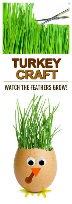 244 best thanksgiving activities for kids images on pinterest fun kid project grow your own turkey feathers and then cut style them