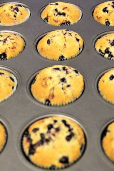 Ayıcıklı Muffin Tarifi Ayıcıklı Muffin Tarifi