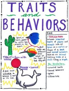inherited traits behaviors anchor chart science pinterest hereditary charts
