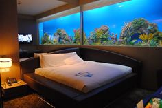 15 best aquarium bedroom images destinations, bedrooms, places toaquarium bedroom awesome bedrooms, house rooms, rich woman, aquariums, glass houses,