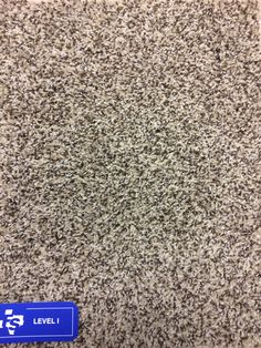 A Heavy Duty Mohawk Commercial Wear Rated Smartstrand Carpet That Mohawk Carpet Sandstone 718