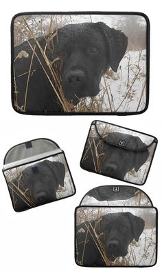 Dogs Lab Retriever Dachshund Poodle Pattern Credit Card RFID Blocker Holder Protector Wallet Purse Sleeves Set of 4 Dogs Lab Retriever Dachshund Poodle Pattern Credit Card RFID Blocker Holder Protector Wallet Purse Sleeves Set of 4