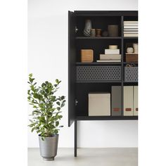 17 Best GROW box images | Grow boxes, Veneers, Design 17 Best GROW box images | Grow boxes, Veneers, Design
