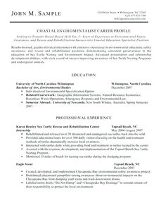 no experience 3 resume format sample resume resume resume examples