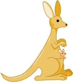 kangaroo illustration google search pop up illustration