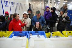 10 Idees De Visite Entreprises Mer Peche Marine Visite Entreprise Peche