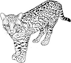 Leopard 5 Coloring Page