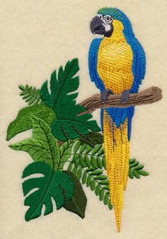 Macaw Embroidery Design 5 Different Sizes for Instant Download