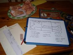 353 Best Body Parts Images Parts Of The Body Body Parts Human Body