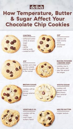 Have you ever looked at a chocolate chip cookie recipe and questioned it? You're not alone. Why this temperature? Why not melted butter? Can I sub in another fat or use a different sugar? What we found surprised us, most of our answers hidden in this perfect—dare I say, better—Copycat Levain Chocolate Chip Cookie. #delish #easy #recipe #cookie #chocolatechipcookie #cheatsheet #chart #cookiechart #cookiefail