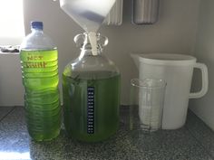 50 best phytoplankton reactor