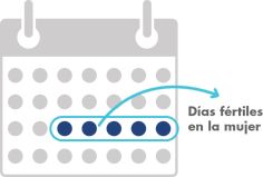 9 Ideas De Inseminación Artificial Inseminación Inseminacion Artificial Embarazo Multiple