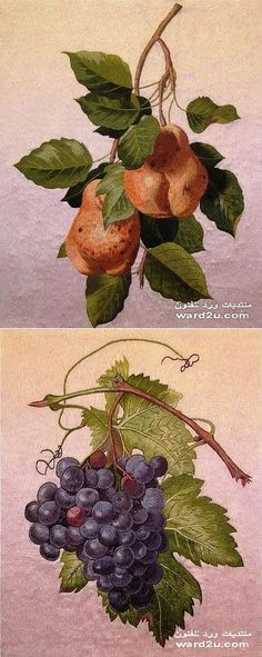 Вышитые картины гладью.