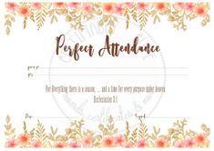most improved certifiably cute pinterest teacher resources