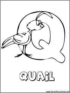 Animal Alphabet Q Coloring Pages