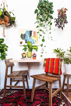 The 455 Best Planty Inspiration Images On Pinterest In 2018 Indoor Pad K Katie S Sunland Tujunga Home