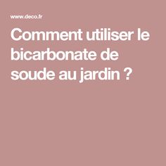 personne qui est en train denlever les mauvaises herbes du jardin astuces pinterest les mauvaises herbes mauvaises herbes et herbe - Comment Se Debarrasser Du Liseron Naturellement personne qui est en train denlever les mauvaises herbes du jardin astuces pinterest les mauvaises herbes mauvaises herbes et herbe - Comment Se Debarrasser Du Liseron Naturellement