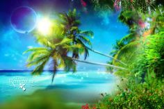 22 Download Video Studio Background Wedding Background Images Wedding Background 22 Download Video Studio Background Wedding Background Images Wedding Background
