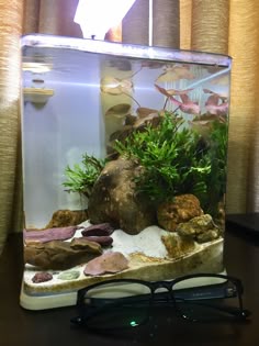 161 best nano tank