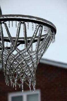 380 Basketball Court For Rent Ideas Basketball Rent Basketball Court