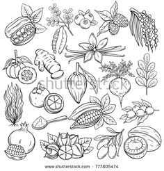 Dash diet plan print out picture 1