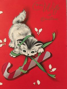 NOS Vintage playing cards white cat blue eyes