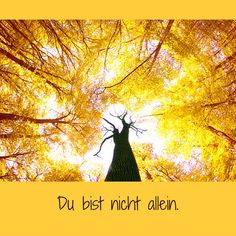 Dating mit einem nicht christlich begehrenden gott