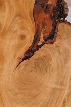 Unique Tree Trunk Tables & Wood Designs - Stammdesign