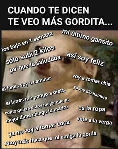 430 Ideas De Memes Para Reir Memes Para Reir Memes Frases Divertidas