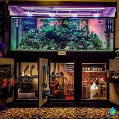 8 best refugium images
