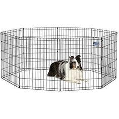 Tray For Large Dog Crate At Pet Supplies Plus Tray For Large Dog Crate At Pet Supplies Plus
