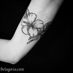 Isabel Perez Green Oz21 En Pinterest