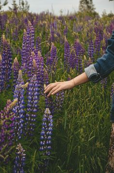 Поля, Лето, Фотография, Картинки