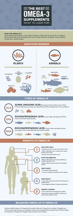Plant sources for Omega 3 fatty acids u2026 Pinteresu2026 - fresh primal blueprint omega 3 Plant sources for Omega 3 fatty acids u2026 Pinteresu2026 - fresh primal blueprint omega 3