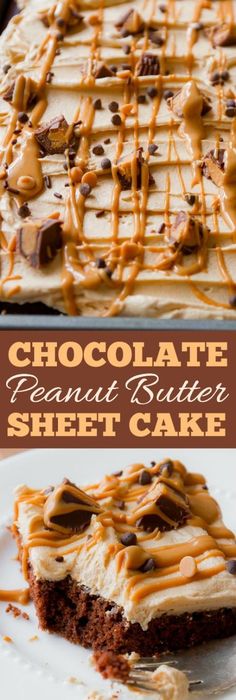 samoa sheet cake