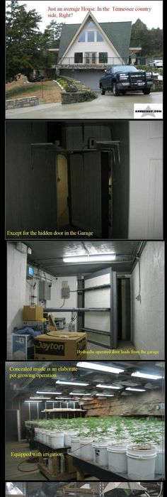 Creating CO2 For Your Indoor Grow Room Growing Marijuana - chambre de culture cannabis interieur Creating CO2 For Your Indoor Grow Room Growing Marijuana - chambre de culture cannabis interieur