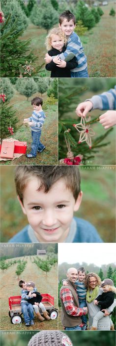 Knoxville family photographer christmas photo session ideas sarah mcaffry voted knoxvilles best photographer Knoxville family photographer christmas photo session ideas sarah mcaffry voted knoxvilles best photographer