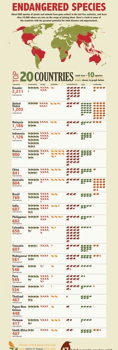 infographic featuring the top 20