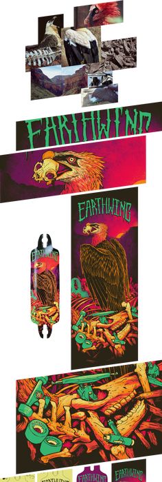 earthwing 36 skateboard earthwing frequent flyer deck