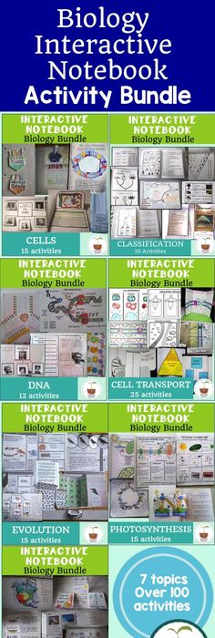 Compare and contrast mitosis and meiosis essay