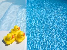 inground pool dealers inground pool dealers