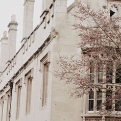 🍯💛 . . #BTS #aesthetic #aesthetics #theme #themeoftheday #feed #beige #colour #color #btsaesthetic #black #white #kpop #home #photography…