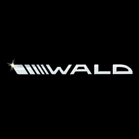 waldinternational