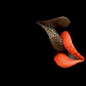 Black is Beautiful Cosmetics