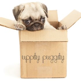 Uppity Puggity .