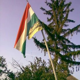 elveszíti a hasi zsírt hasizom